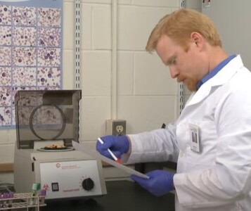 Клиника лечения наркозависимости в Сольцах Врач в кабинете клиники